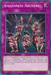 Product image for Amazoness Archers