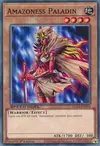 Product image for Amazoness Paladin