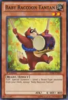 Product image for Baby Raccoon Tantan