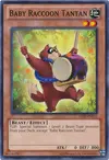 Product image for Baby Raccoon Tantan