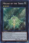 Product image for Meliae of the Trees