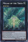 Product image for Meliae of the Trees