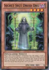 Product image for Secret Sect Druid Dru