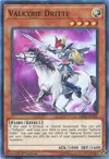 Product image for Valkyrie-Dritte