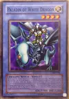 Product image for Paladin of White Dragon