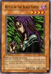 Product image for Witch of the Black Forest