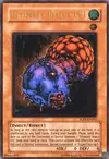 Product image for Insecte Ultime LV1