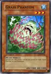 Product image for Grass Phantom