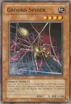 Product image for Ground Spider
