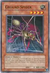 Product image for Ground Spider