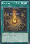 Product image for Feast of the Wild LV5