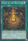Product image for Feast of the Wild LV5