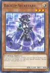 Product image for Backup Secretary