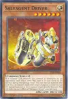 Product image for Salvagent Driver