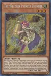 Product image for The Weather Painter Thunder