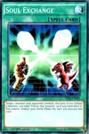 Product image for Soul Exchange