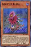 Product image for Glow-Up Bloom