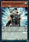 Product image for Servant of Endymion