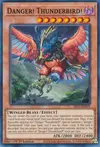Product image for Danger! Thunderbird!