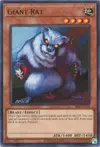 Product image for Giant Rat