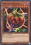 Product image for Mystic Tomato