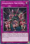 Product image for Amazoness Archers