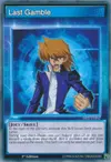 Product image for Last Gamble