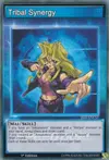 Product image for Tribal Synergy