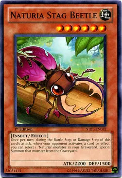 Naturia Stag Beetle — Starstrike Blast — Yu-Gi-Oh!