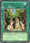 Product image for Snake Rain