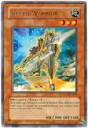 Product image for Shield Warrior