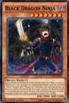 Product image for Black Dragon Ninja