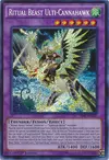 Product image for Ritual Beast Ulti-Cannahawk