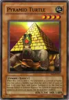 Product image for Pyramid Turtle