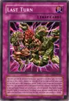 Product image for Last Turn