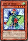 Product image for Bird of Roses