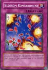 Product image for Blossom Bombardment