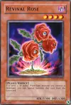 Product image for Revival Rose