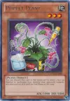 Product image for Puppet Plant