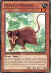 Product image for Playful Possum