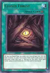 Product image for Closed Forest
