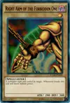Product image for Right Arm of the Forbidden One