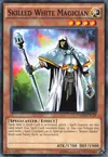Product image for Skilled White Magician