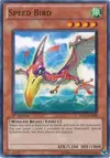 Product image for Speed Bird