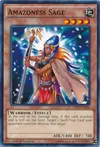 Product image for Amazoness Sage