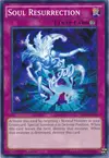 Product image for Soul Resurrection