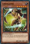 Product image for Linkslayer