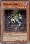 Product image for Shadowslayer