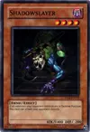 Product image for Shadowslayer