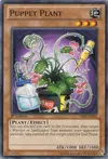 Product image for Puppet Plant